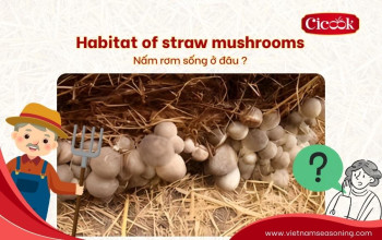 Habitat of straw mushrooms: Understanding habitat and comparing natural vs cultivated quality