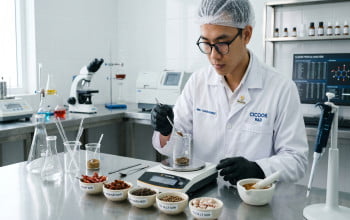 Dịch Vụ Gia Công Gia Vị Tươi ODM/OEM Trọn Gói – Nhà Máy CICOOK Đạt Chuẩn FDA