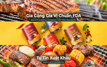 ELEVATE VIETNAMESE BRANDS, CONFIDENTLY REACHING GLOBAL MARKETS