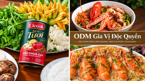ODM GIA VỊ - BỆ PHÓNG TOÀN DIỆN CHO THƯƠNG HIỆU F&B HIỆN ĐẠI