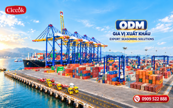 ODM GIA VỊ XUẤT KHẨU: NHỮNG YẾU TỐ CẦN CHUẨN BỊ NGAY TỪ KHÂU R&D