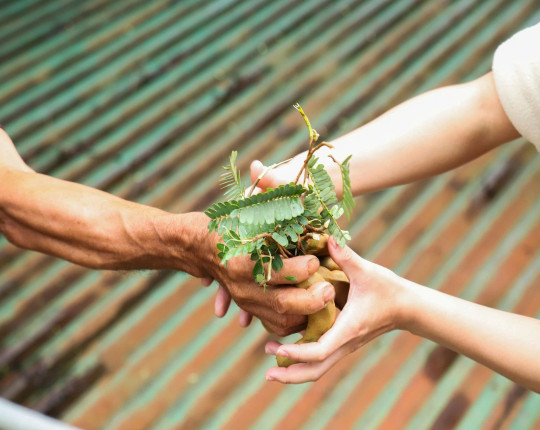 OEM/ODM Seasoning and Food Solutions