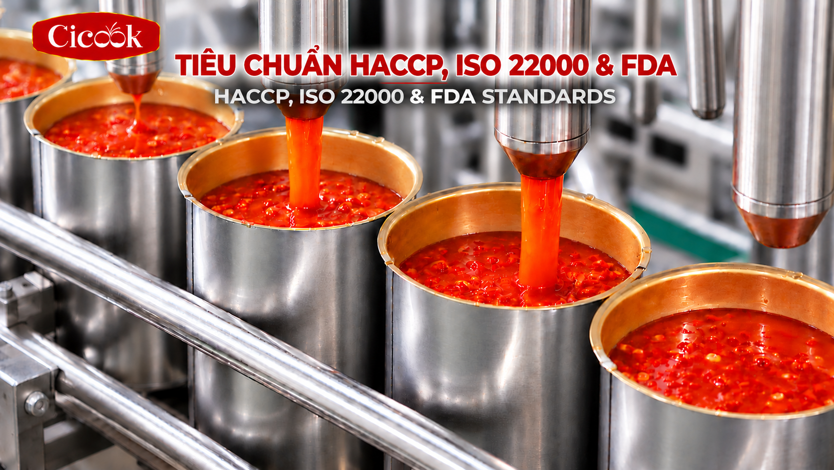 Tiêu Chuẩn HACCP, ISO 22000 Và FDA Trong Gia Công Gia Vị: Tấm Vé Đưa Hàng Lên Kệ Siêu Thị & Xuất Khẩu