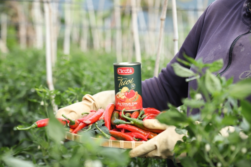 OEM chillies seasoning