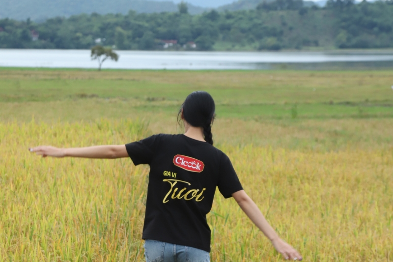 OEM with Cicook