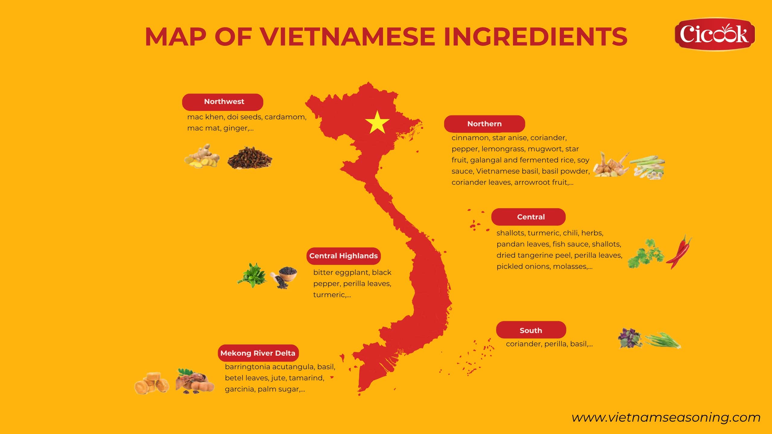 map of vietnamese ingredients and spices