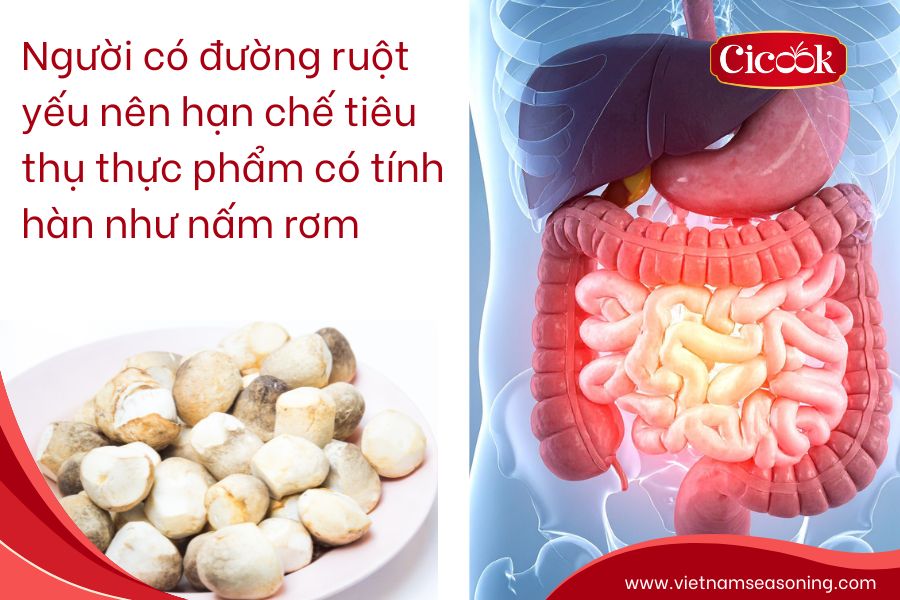người không nên ăn nấm rơm