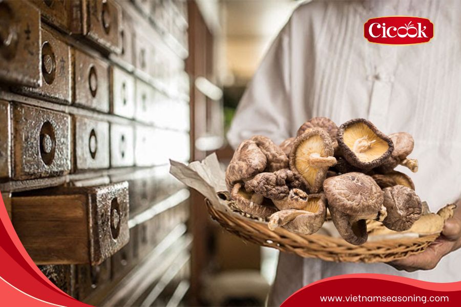 Các bài thuốc đông y và ứng dụng trị liệu