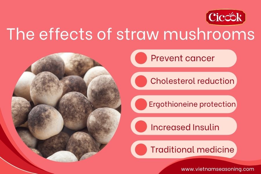The effects of straw mushrooms: Health benefits & Precautions